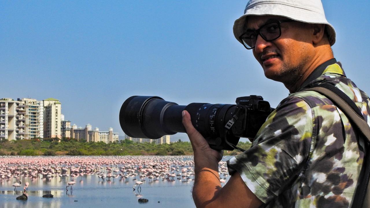 A banker and a birder, Vidyasagar Hariharan started wildlife photography in 2016. He has been instrumental in covering Flamingos and conducting  research on their migration process extensively in and around Mumbai